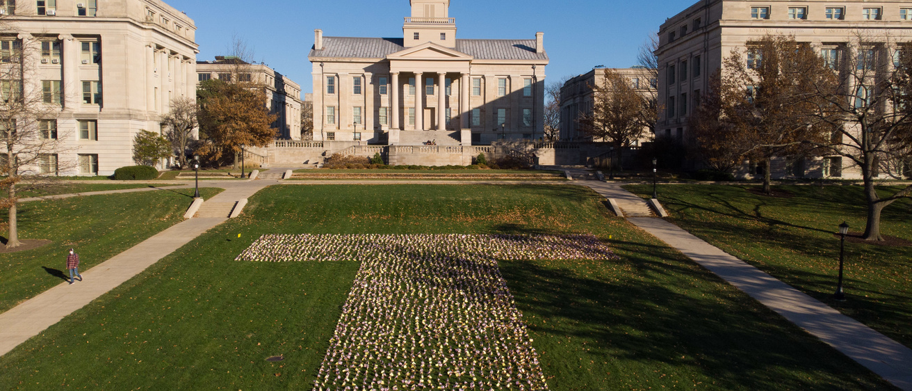 Thousands of flags memoralizing veterans are placed on the pentacrest lawn in front of the Old Capitol Building in Iowa City