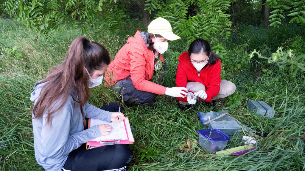 Three women completing science field work